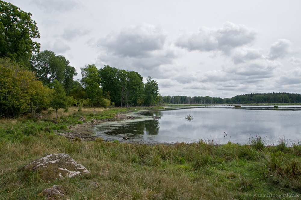 Rosenkällasjön, Tinnerö eklandskap, 21/8-2016 Foto: Annie Fredriksson